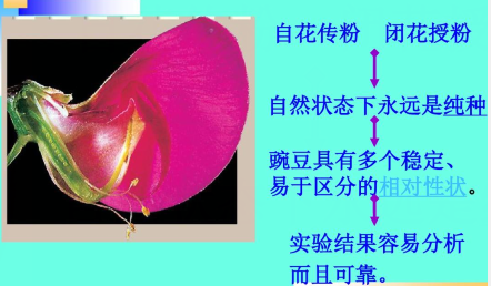 QQ图片20231020164215.png