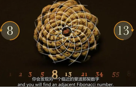 QQ图片20231201141951.png
